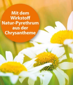 ARDAP® Zecken- Und Flohschutz Spot-On Für Katzen Ab 4 Kg, 3 X 0,8 Ml -Tepro Store 2599165 WE DE 001 ArdapQuikoKZbhSpotOn4kgPlus