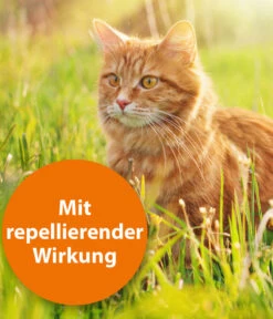 ARDAP® Zecken- Und Flohschutz Spot-On Für Katzen Ab 4 Kg, 3 X 0,8 Ml -Tepro Store 2599165 WE DE 002 ArdapQuikoKZbhSpotOn4kgPlus