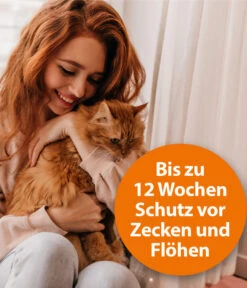 ARDAP® Zecken- Und Flohschutz Spot-On Für Katzen Ab 4 Kg, 3 X 0,8 Ml -Tepro Store 2599165 WE DE 003 ArdapQuikoKZbhSpotOn4kgPlus
