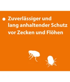 ARDAP® Zecken- Und Flohschutz Spot-On Für Katzen Ab 4 Kg, 3 X 0,8 Ml -Tepro Store 2599165 WE DE 004 ArdapQuikoKZbhSpotOn4kgPlus