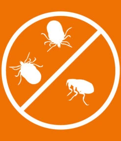 ARDAP® Zecken- Und Flohschutz Spot-On Für Katzen Ab 4 Kg, 3 X 0,8 Ml -Tepro Store 2599165 WE DE 005 ArdapQuikoKZbhSpotOn4kgPlus