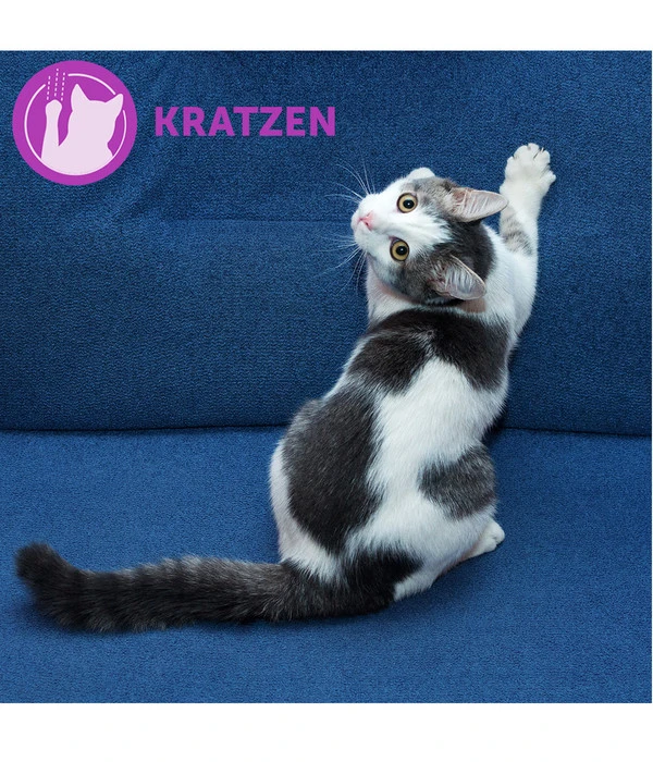 FELIWAY® Classic Nachfüllflakon, 3er Set 7 FELIWAY® Classic Nachfüllflakon, 3er Set – Bild 5