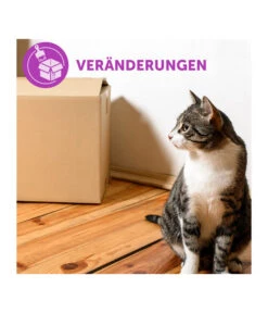 FELIWAY® Classic Nachfüllflakon, 3er Set 20 FELIWAY® Classic Nachfüllflakon, 3er Set -Tepro Store 3019957 WE M 003 neuCevaFeliwayClassicStarterSet