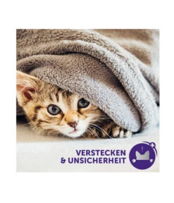 FELIWAY® Classic Nachfüllflakon, 3er Set 21 FELIWAY® Classic Nachfüllflakon, 3er Set -Tepro Store 3019957 WE M 005 neuCevaFeliwayClassicStarterSet