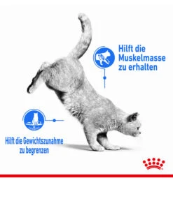 ROYAL CANIN® Nassfutter Für Katzen Light Weight Care In Soße, 12 X 85 G -Tepro Store 3548773 WE DE 001 RCKNBLightWeightCareGravy85g