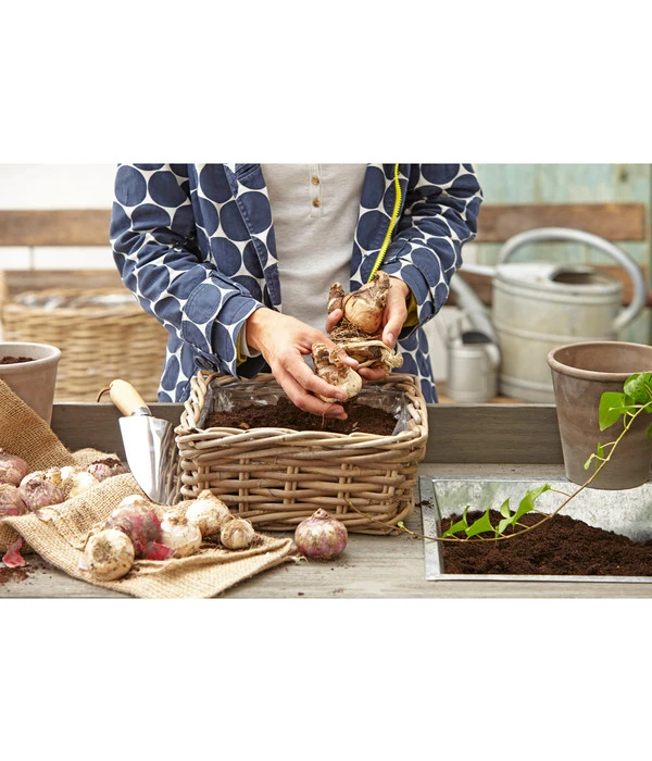 Van Der Leeden Rattan-Pflanzkasten, Graubraun 7 Van Der Leeden Rattan-Pflanzkasten, Graubraun – Bild 5