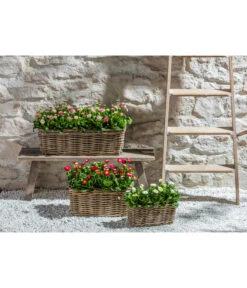 Van Der Leeden Rattan-Pflanzkasten, Graubraun 22 Van Der Leeden Rattan-Pflanzkasten, Graubraun -Tepro Store 3692761 3692548 3692506 WE MO 013 RattanPflanzkastenbraun