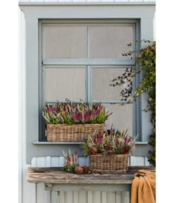 Van Der Leeden Rattan-Pflanzkasten, Graubraun 20 Van Der Leeden Rattan-Pflanzkasten, Graubraun -Tepro Store 3692761 3692548 3692506 WE MO 014 RattanPflanzkastenbraun