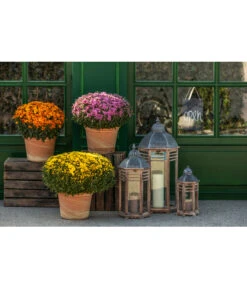 Spang Terrakotta-Topf Toscana, Rund -Tepro Store 3697612 WE MO 003 TerrakottaTopfToscana