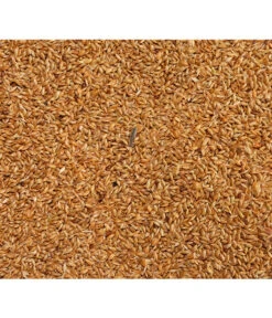 Dehner Kanariensaat, 1 Kg -Tepro Store 413609 BildD 001 DehnerQualitaetsfutterKanariensaatKanariensaat1Kg