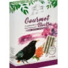 Dehner Natura Premium Wildvogelfutter Gourmet Blocks Mit Vogelbeeren -Tepro Store 4206926 WE FS 001 DehnerNaturaWildvogelfutterGourmetBlocksVogelbeeren