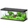 Dehner Aqua Premium Aquarium-Set ProLine 100, Schwarz, 160 L, Ca. B100/H40/T40 Cm -Tepro Store 4277224 WE FS 001 DehneAquaPremiumProLine100