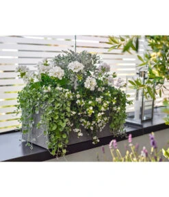 Dehner Leichtbeton-Kasten Rock, Rechteckig, Grau -Tepro Store 5157607 5157615 WE MO 001 DehnerLeichtbetonKastenrockgrau