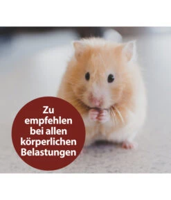 Quiko® Vitacombex® Na Multivitaminsaft Für Nager, 125 Ml -Tepro Store 5198106 WE MO 001 QuikoNFVitacombexNa125ml