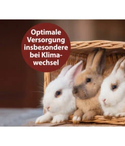 Quiko® Vitacombex® Na Multivitaminsaft Für Nager, 125 Ml -Tepro Store 5198106 WE MO 002 QuikoVFVitacombexNa125ml