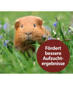 Quiko® Vitacombex® Na Multivitaminsaft Für Nager, 125 Ml -Tepro Store 5198106 WE MO 003 QuikoNFVitacombexNa125ml