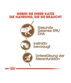 ROYAL CANIN® Nassfutter Für Katzen Ageing 12+, 12 X 85 G -Tepro Store 5459516 WE DE 002 RCKNFAgeing12plus 12x85g