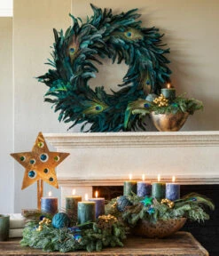 Tepro Store -Tepro Store 6424469 6424477 6424493 6031983 WE MO 001 PeacockAdvent2022