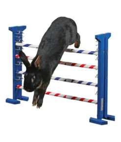 KERBL Agility Nagerspielzeug Kombisprung, Ca. B62/H53/T49 Cm -Tepro Store 6603187 WE MO 001 AgilityKombisprung