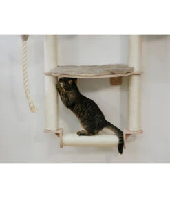 KERBL Wandkratzbaum Dolomit Grappa Pro, Beige, Ca. B70/H138/T66 Cm 9 KERBL Wandkratzbaum Dolomit Grappa Pro, Beige, Ca. B70/H138/T66 Cm -Tepro Store 6603245 WE MO 002 KratzbaumDolomitGrappaPro