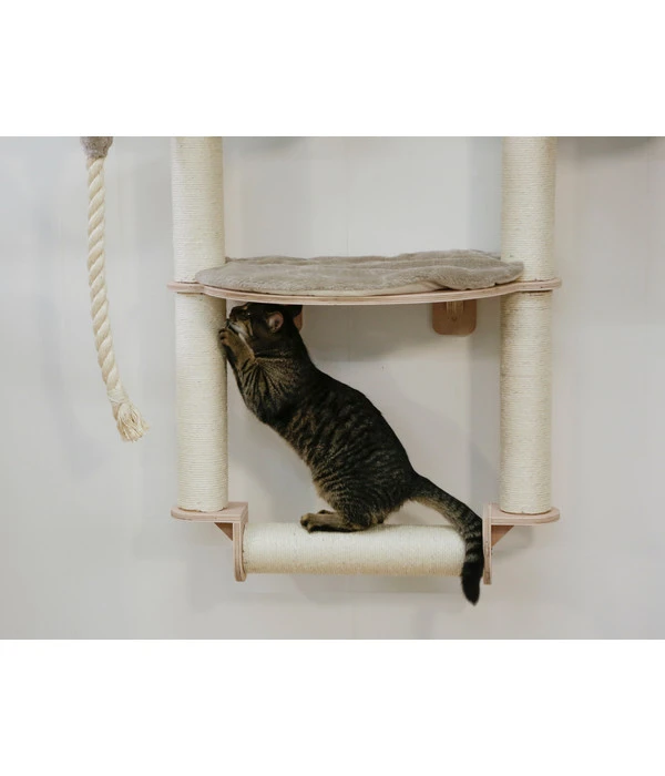 KERBL Wandkratzbaum Dolomit Grappa Pro, Beige, Ca. B70/H138/T66 Cm 5 KERBL Wandkratzbaum Dolomit Grappa Pro, Beige, Ca. B70/H138/T66 Cm – Bild 3