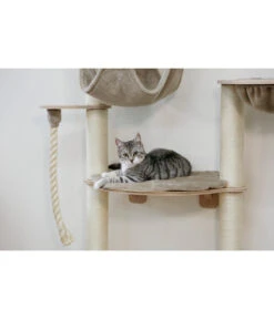 KERBL Wandkratzbaum Dolomit Grappa Pro, Beige, Ca. B70/H138/T66 Cm 10 KERBL Wandkratzbaum Dolomit Grappa Pro, Beige, Ca. B70/H138/T66 Cm -Tepro Store 6603245 WE MO 003 KratzbaumDolomitGrappaPro