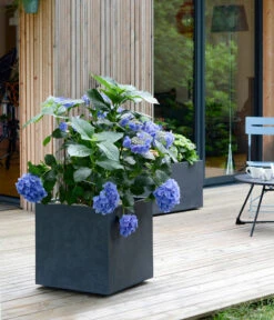 EDA-plastiques Kunststoff-Topf Basalt, Quadratisch, Anthrazit, Ca. B49,5/H49,5/T49,5 Cm -Tepro Store 6640460 WE MO 001 PflanzkuebelBasalt