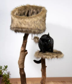 Dobar Petlife Design-Katzenmöbel Sunny, Ca. B50/H109/T40 Cm 11 Dobar Petlife Design-Katzenmöbel Sunny, Ca. B50/H109/T40 Cm -Tepro Store 6689772 WE MO 002 DobarKatzenKratzbaumSunny