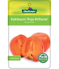 Dehner Kaki 'Rojo Brillante' - Kaki-Pflaume 'Rojo Brillante' 14 Dehner Kaki 'Rojo Brillante' - Kaki-Pflaume 'Rojo Brillante' -Tepro Store 7167414 KakiRojoBrillante Etikett 01