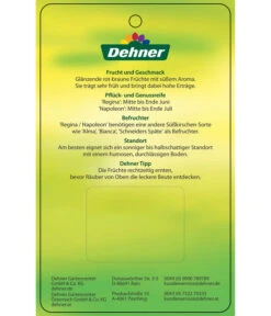 Kirschen-Duo 'Regina/Napoleon' 13 Kirschen-Duo 'Regina/Napoleon' -Tepro Store 7738792 Suesskirschen DuoReginaNapoleon Etikett 2