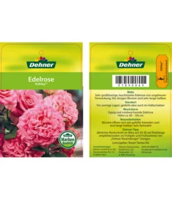 Edelrosen-Mix 'Nostalgie®' -Tepro Store 7800063 AshleyEdelrose Etikett1