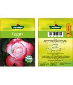 Edelrosen-Mix 'Nostalgie®' -Tepro Store 7800063 NostalgieEdelrose Etikett1