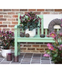 Schneerose 'Ice N' Roses® Red' - Helleborus Gold Collection® -Tepro Store 8010969 WE MO 001 HelleborusWeinrotDehnerExpressHerzig