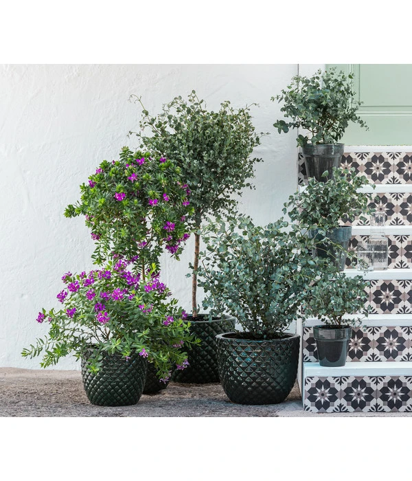 Dehner Keramik-Topf Elite 4 Dehner Keramik-Topf Elite – Bild 2