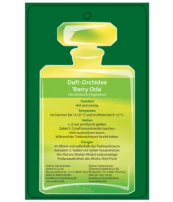 Duft-Traubenorchidee - Dendrobium Kingianum 'Berry' -Tepro Store 8250714 DuftorchideeBeryyOdaEtikett2