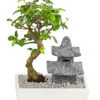Bonsai Mit Buddha/Pagode, Verschiedene Sorten -Tepro Store 8686669 PR FS 001 BonsaiMixMitBuddhaPagodeT18DehnerExpressHerzig