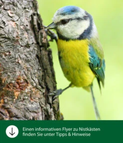 Dehner Natura Nistkasten CLiCK, Ca. B17/H22,5/T12 Cm -Tepro Store WE IG FlyergrafikDehnerNaturaNistkaesten