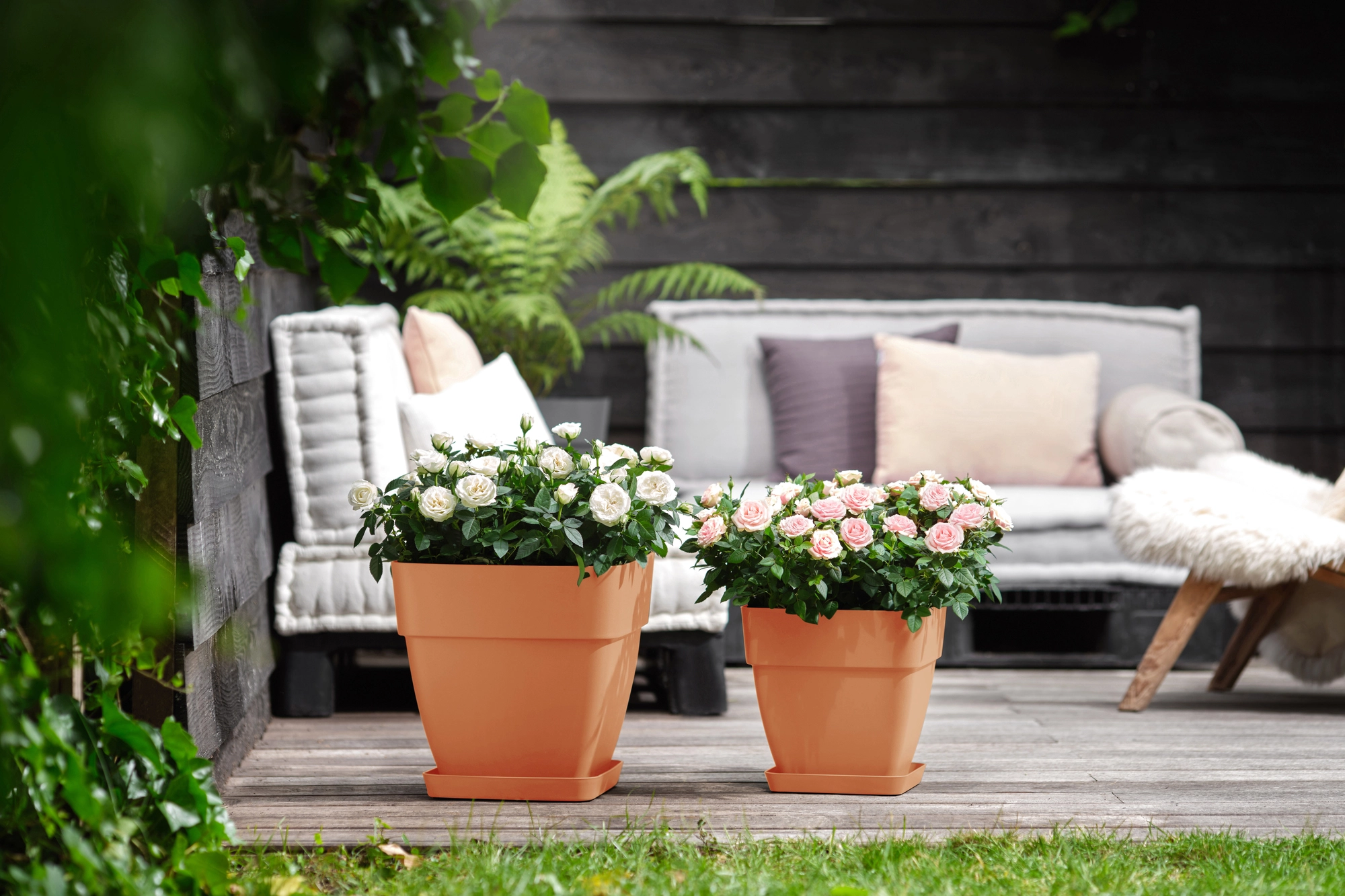 Tepro Store -Tepro Store 1236751 4667 5