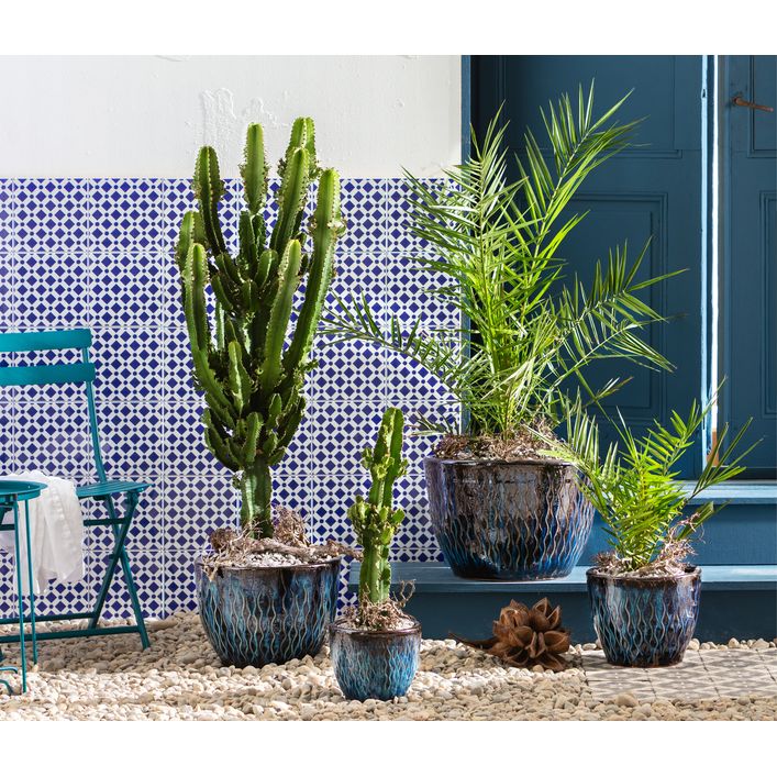 Tepro Store -Tepro Store 6762538 8649625 8608705 WE MO 001 KeramikTopfRawa Wolfsmilch Dattelpalme